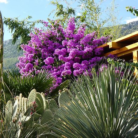 Villa Tropica, Total Privacy, Tropical Garden And Private Pool Kaštela Extérieur photo