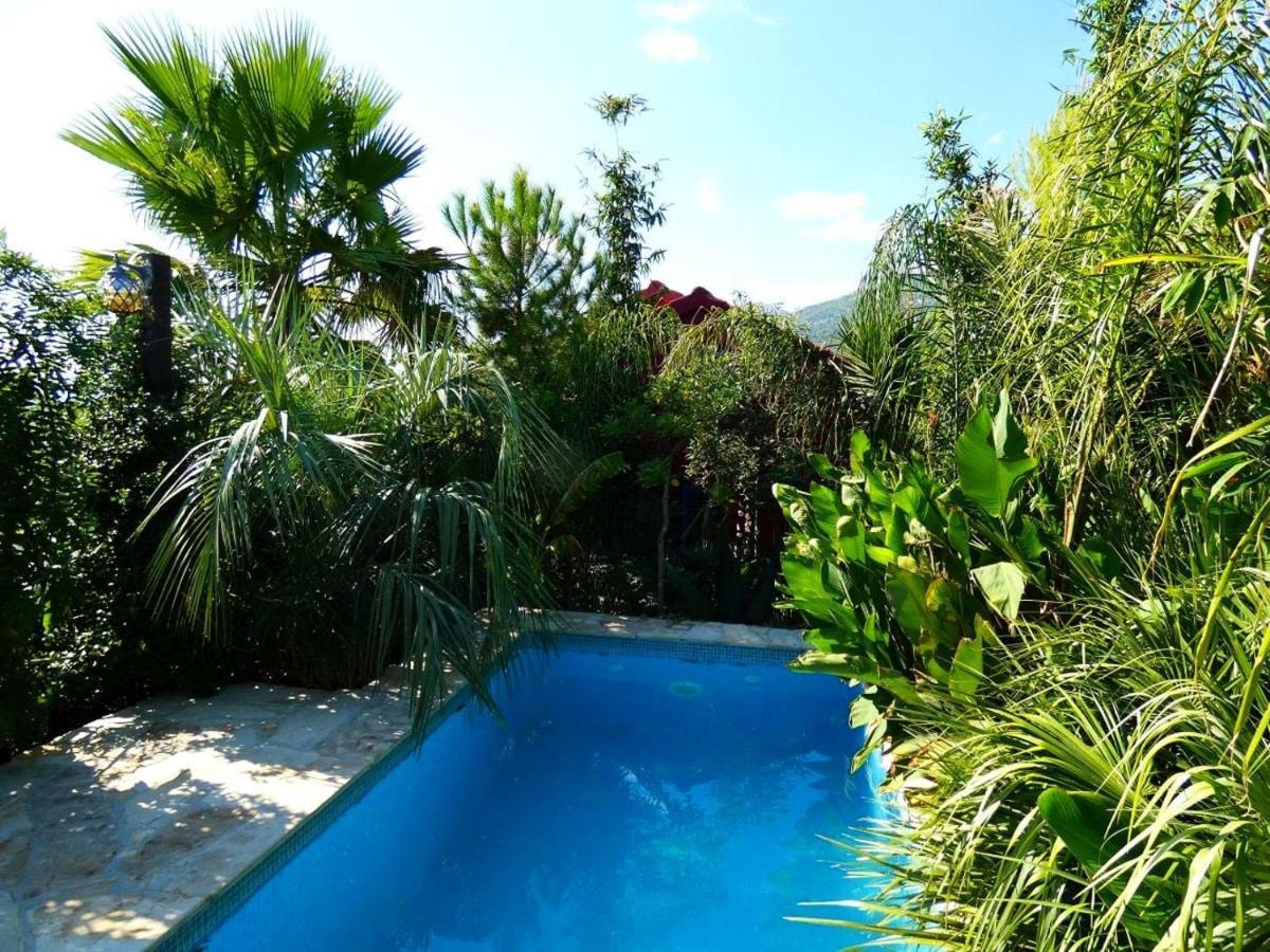 Villa Tropica, Total Privacy, Tropical Garden And Private Pool Kaštela Extérieur photo