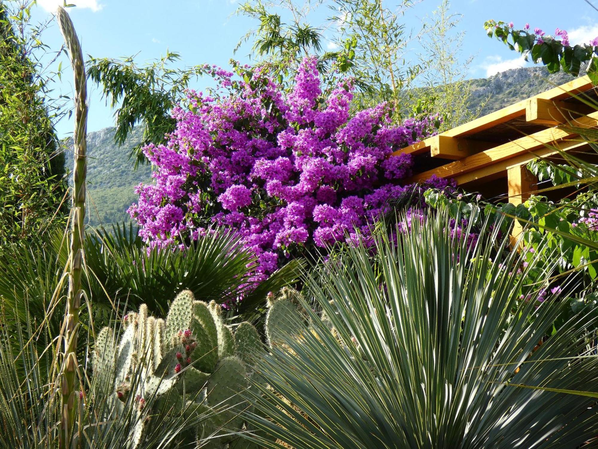 Villa Tropica, Total Privacy, Tropical Garden And Private Pool Kaštela Extérieur photo